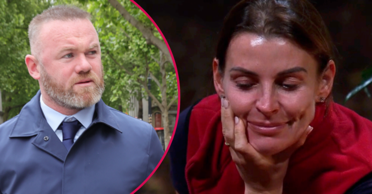 Coleen Rooney in the jungle and Wayne inset
