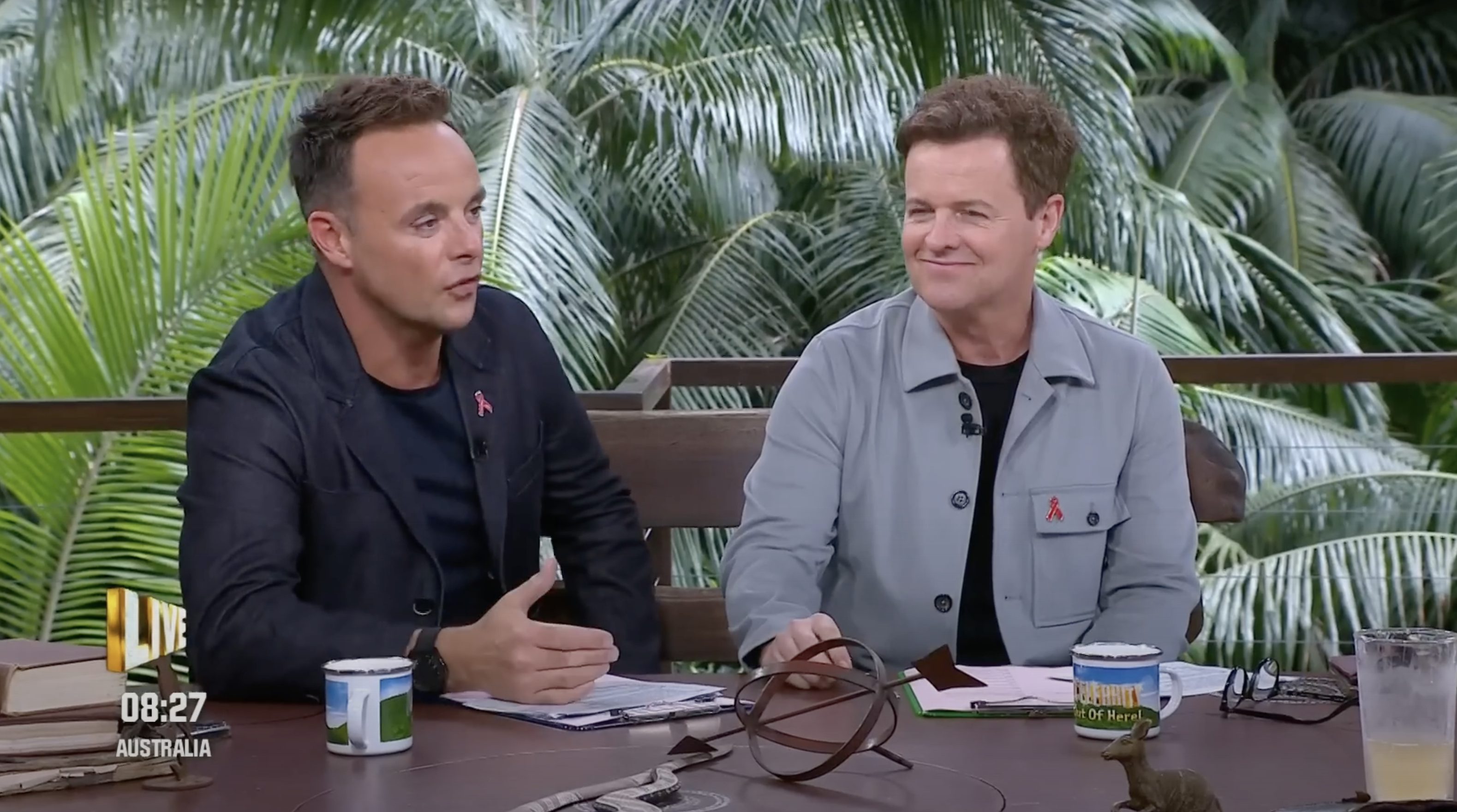 Declan Donnelly and Ant McPartlin on I'm A Celebrity
