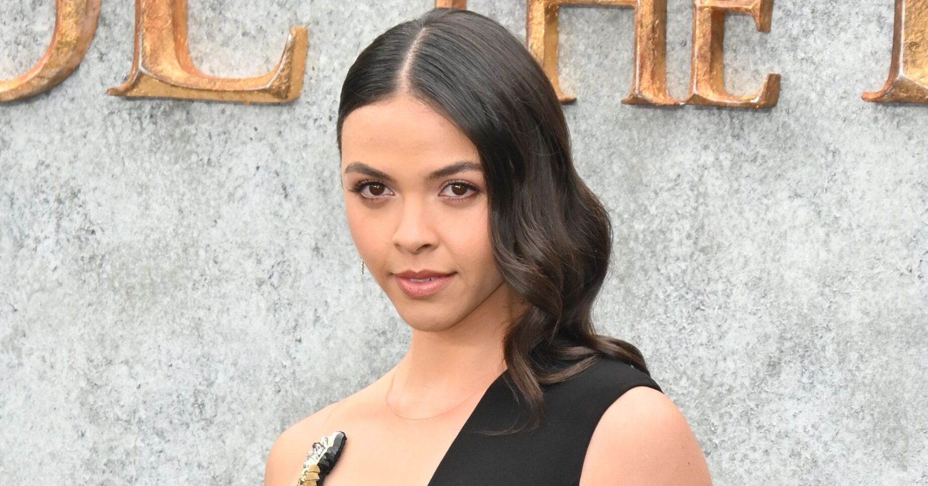 Vanessa Bauer posing in black dress at movie premiere