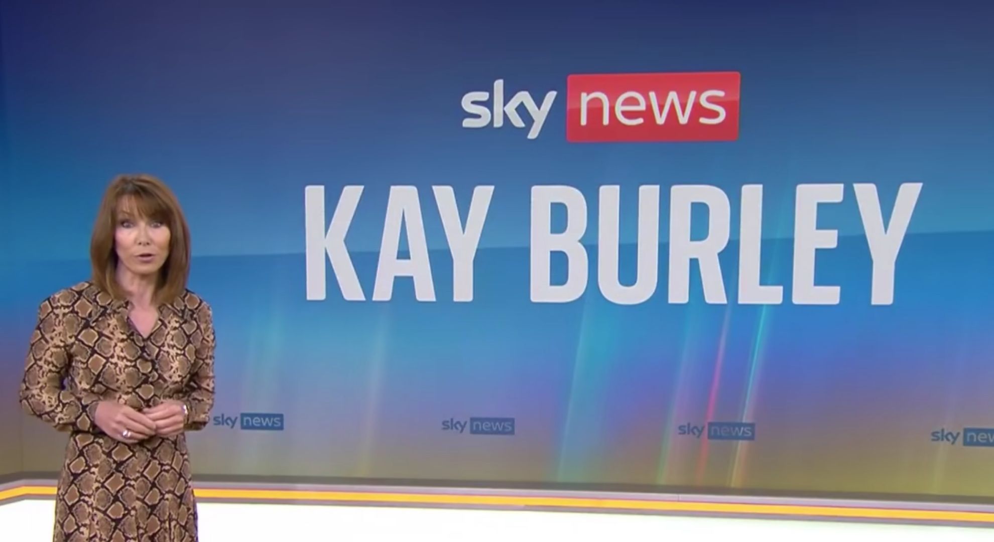 Kay on Sky News