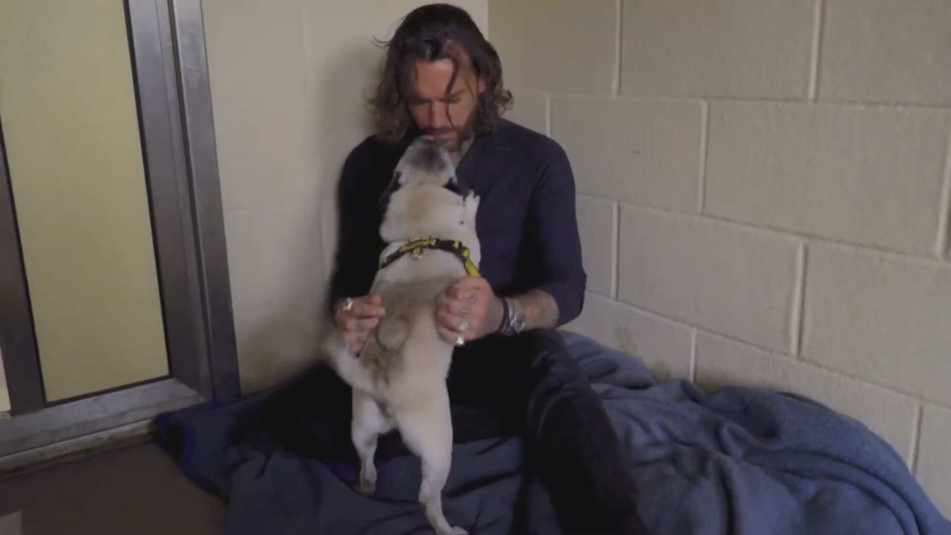 Pete Wicks cuddling a dog