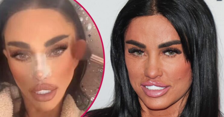Katie Price posing