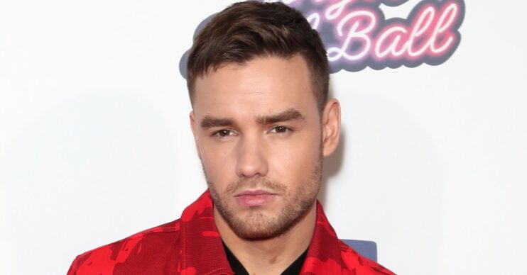 Liam Payne on the red carpet