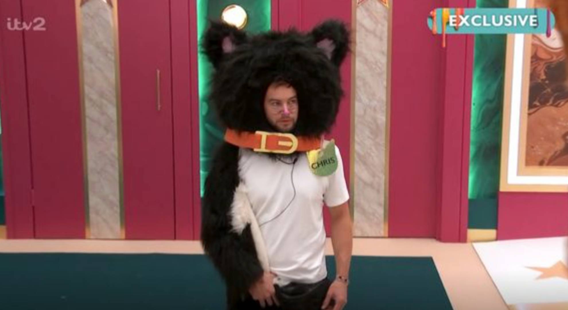 Celebrity Big Brother star Chris Hughes dressed as a cat