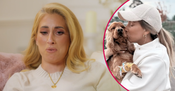 Stacey Solomon speaking to camera and inset with her dog