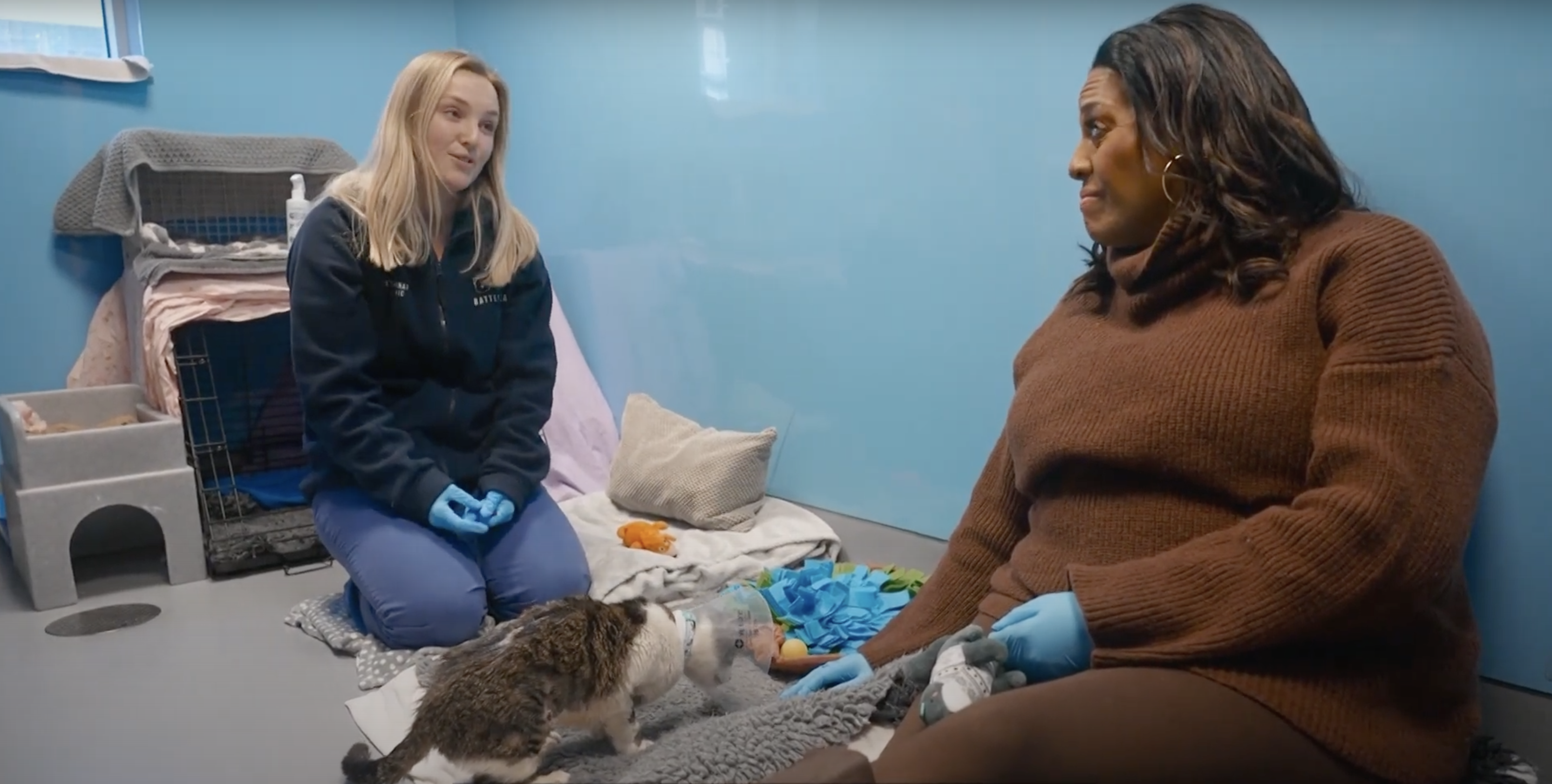 Alison Hammond on For the Love of Dogs
