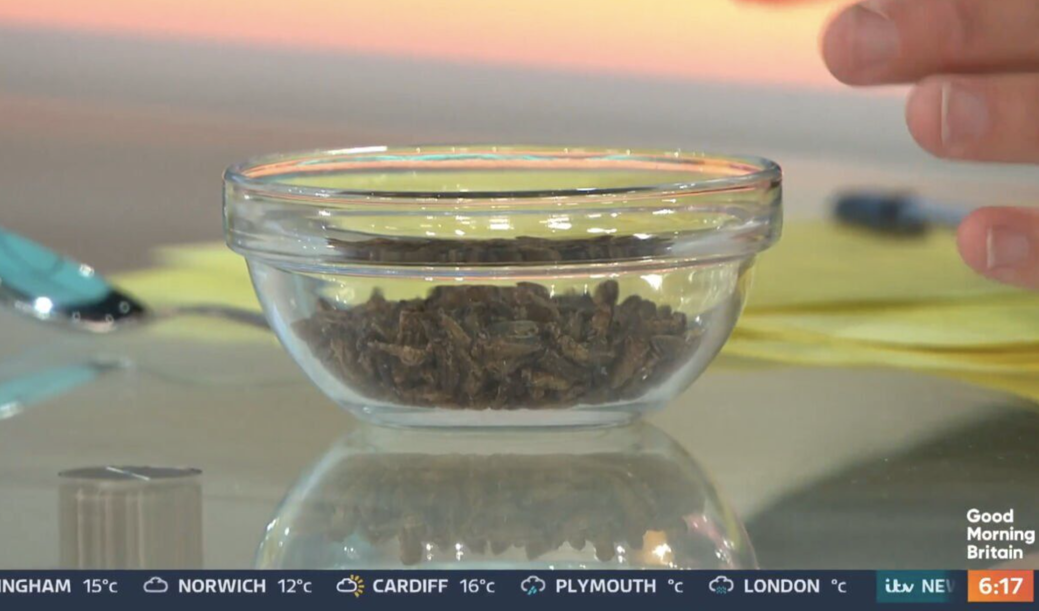 Richard bravely dived into a bowl full of insects
