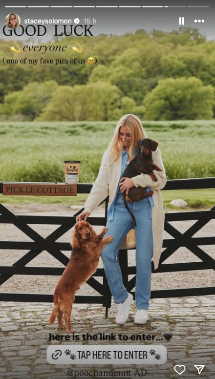 Stacey Solomon with her dogs