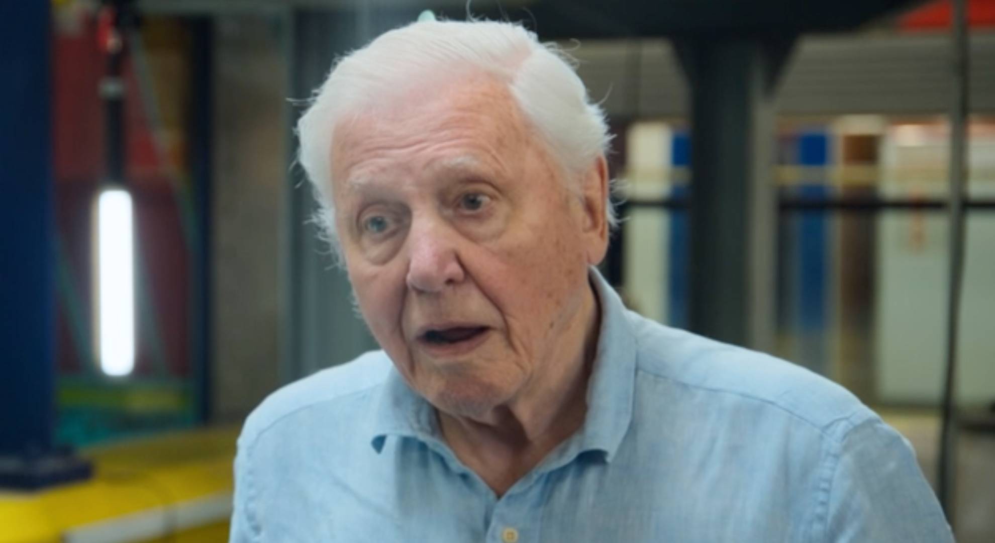 Sir David Attenborough listens