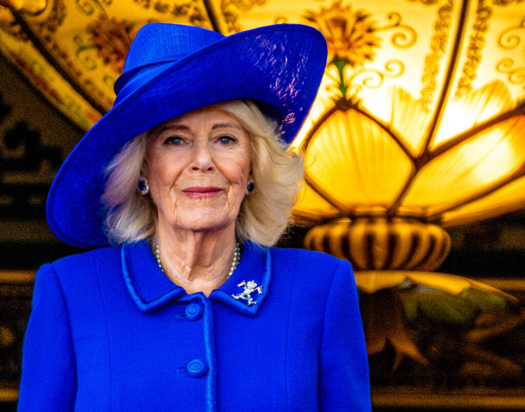 Queen Camilla up close wearing blue 