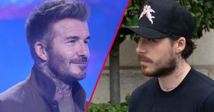 David Beckham / Brooklyn Beckham ED split