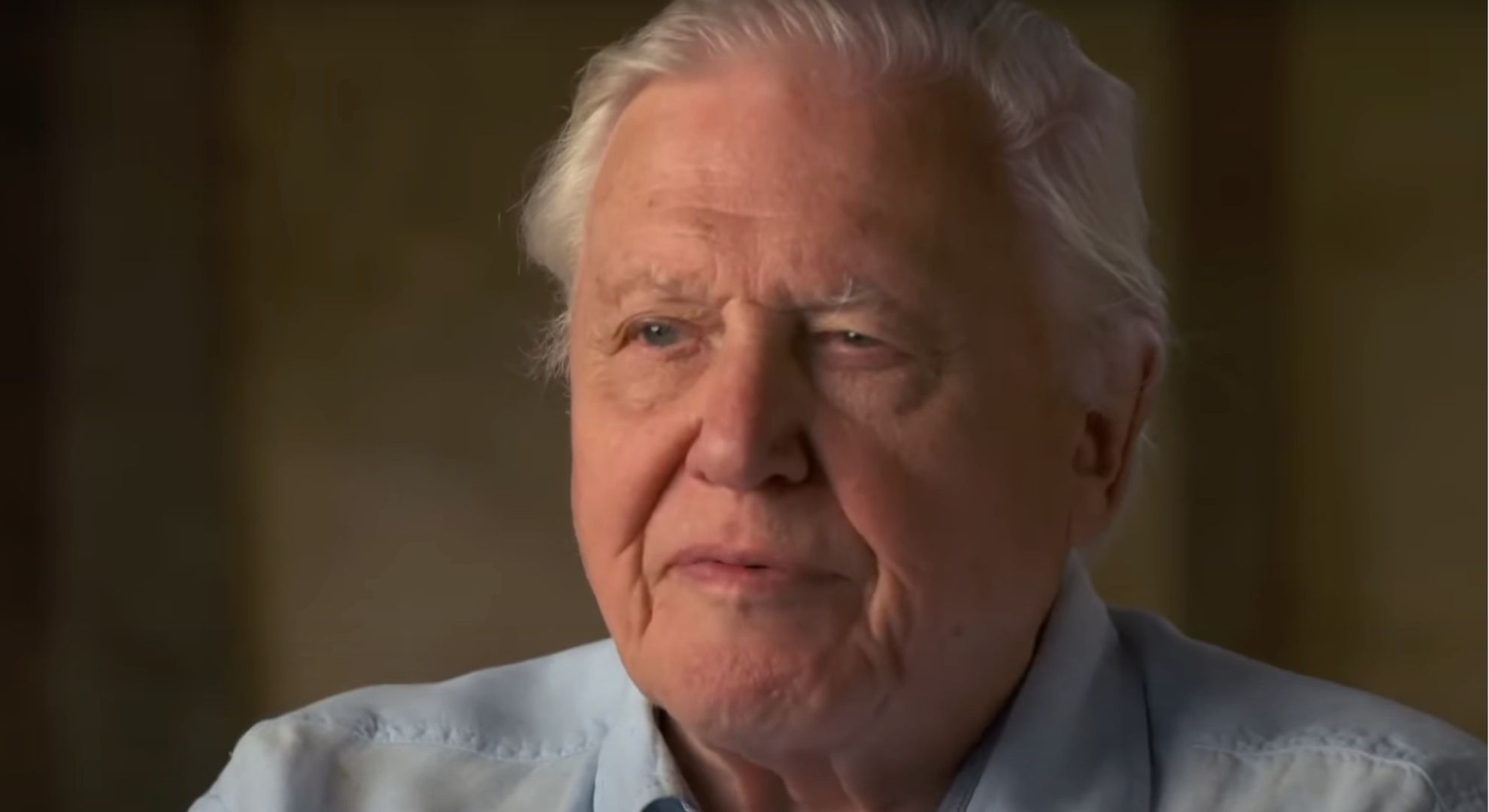 Sir David Attenborough 
