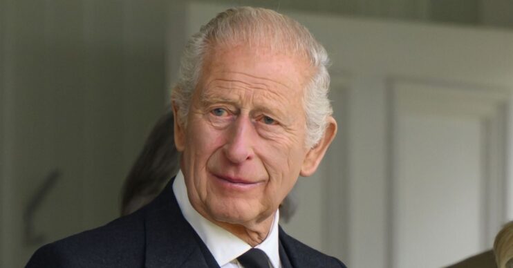 King Charles smiling during royal appearance