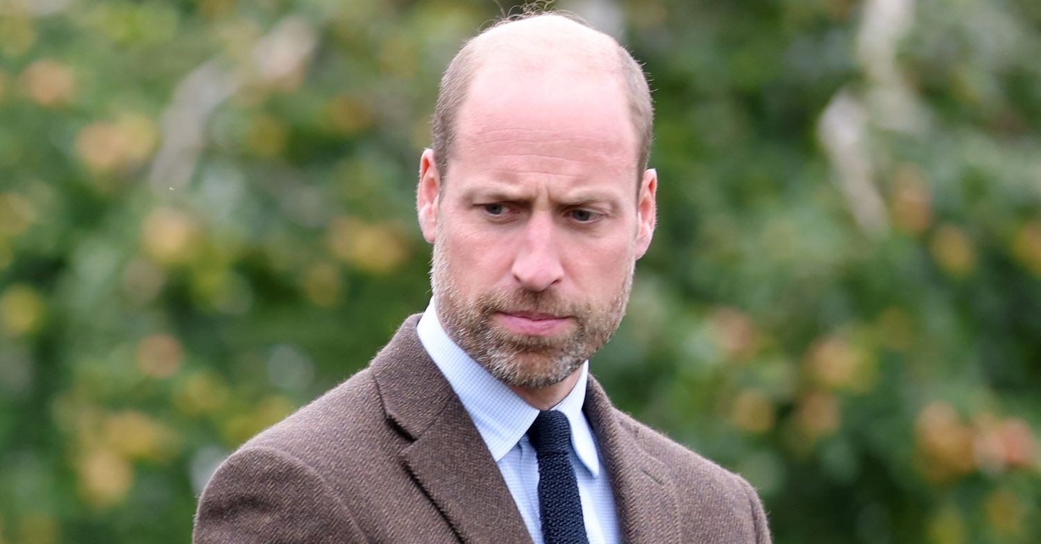 Prince William up close in brown suit