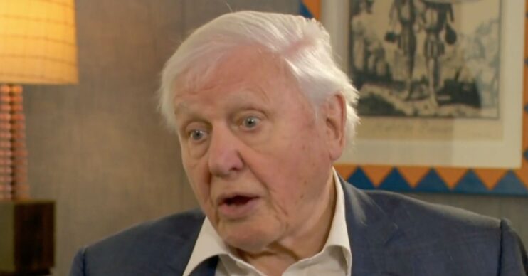 David Attenborough looking serious