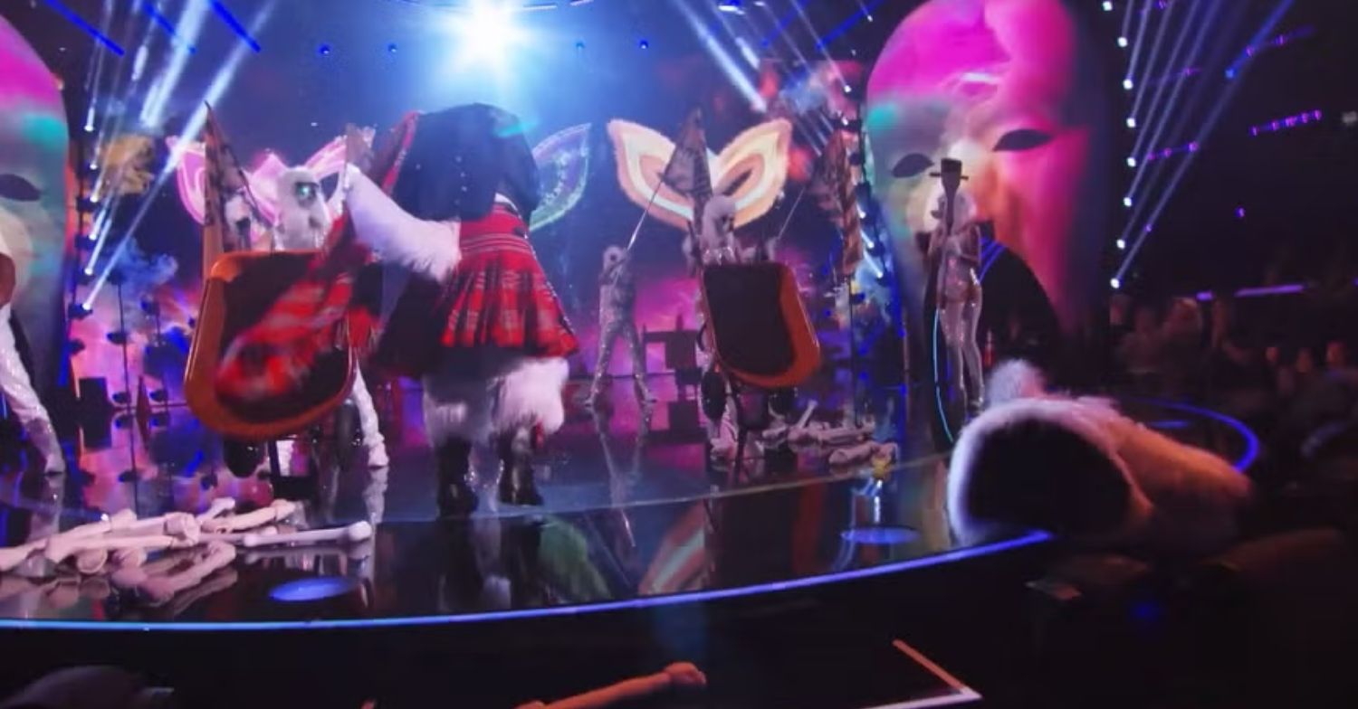 Masked Singer star