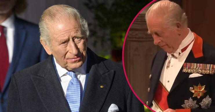 ED comp: King Charles / King Charles at state banquet