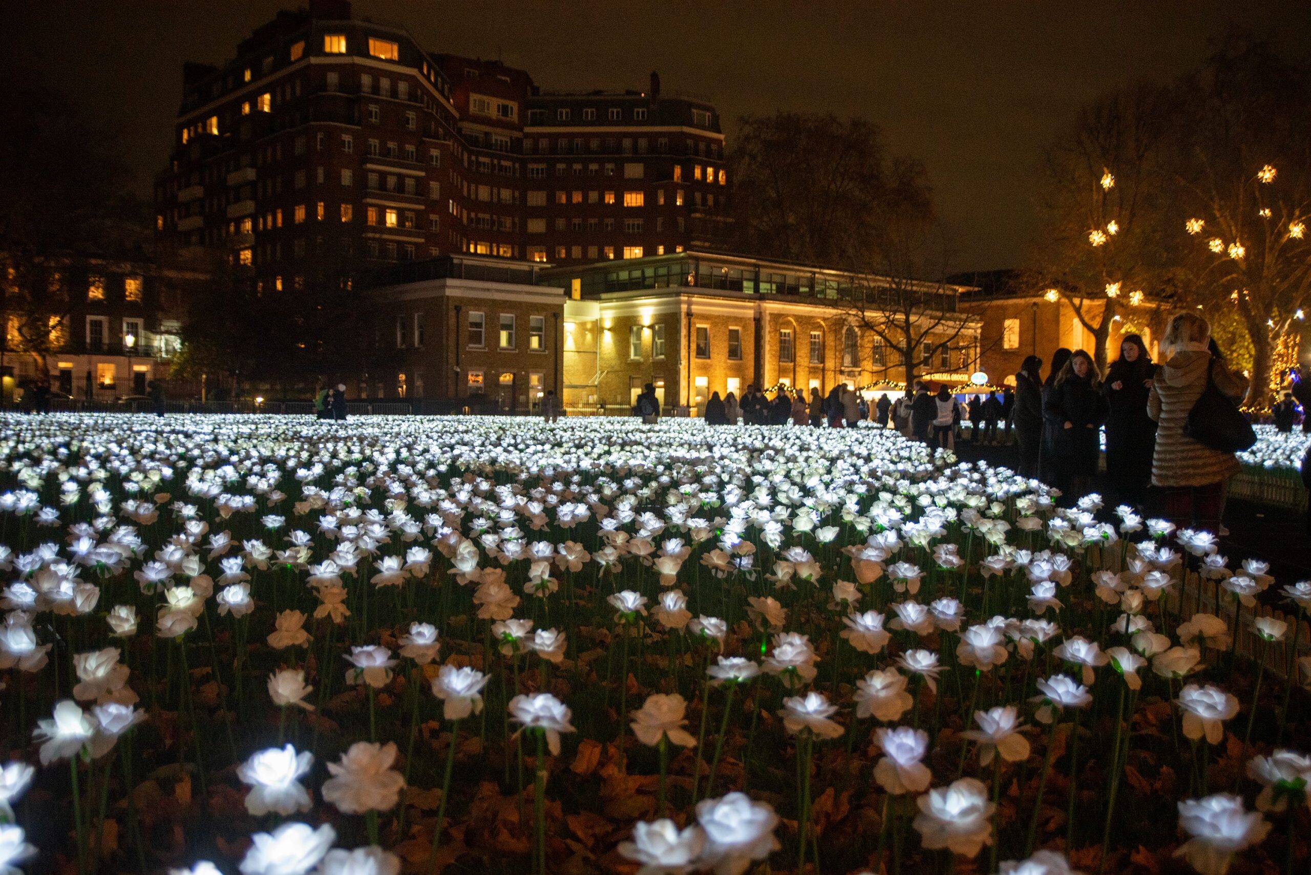 Ever After Garden lit up