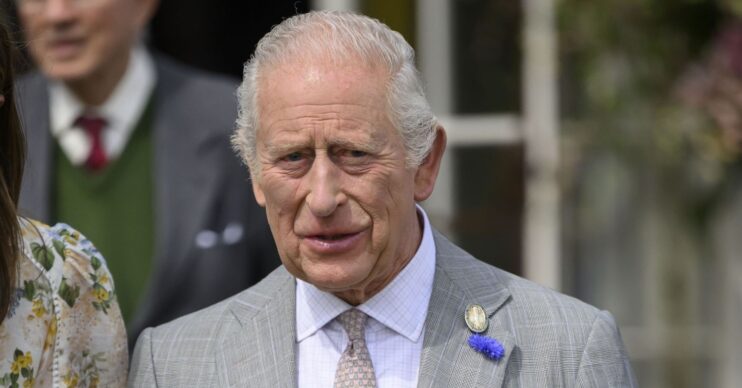 King Charles in grey suit