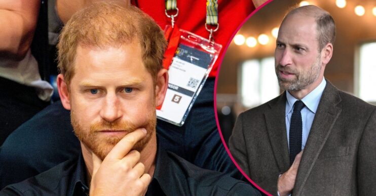 Prince Harry frowning, with his hand on his chin, beside Prince William furrowing his brow