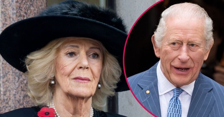 ED composite of Queen Camilla at Remembrance event and King Charles in blue suit