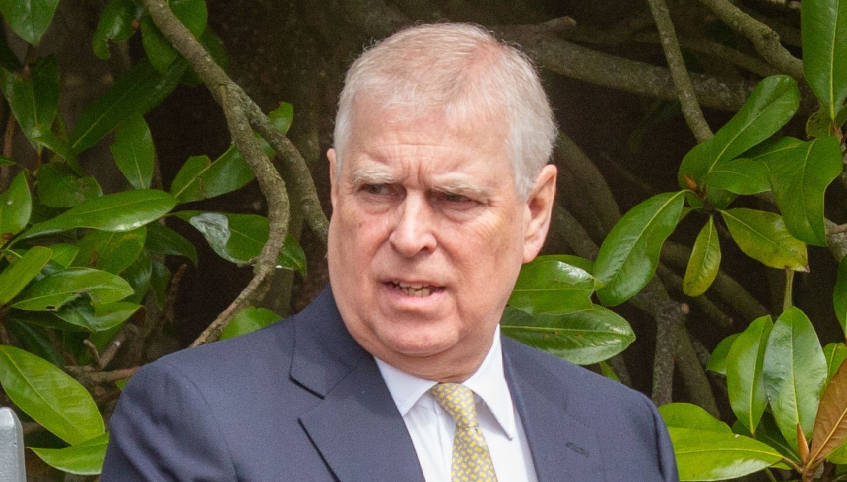 Andrew Mountbatten-Windsor 