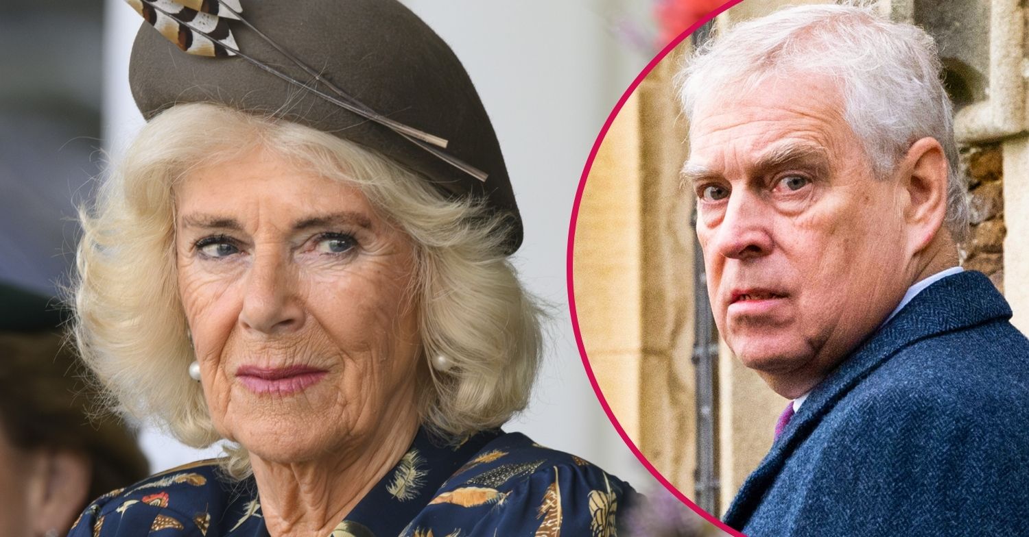 ED composite of Queen Camilla and Andrew Mountbatten-Windsor