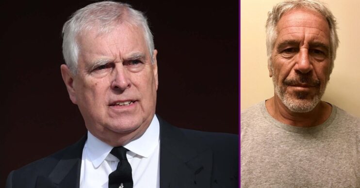 Andrew Mountbatten-Windsor frowning beside Jeffrey Epstein
