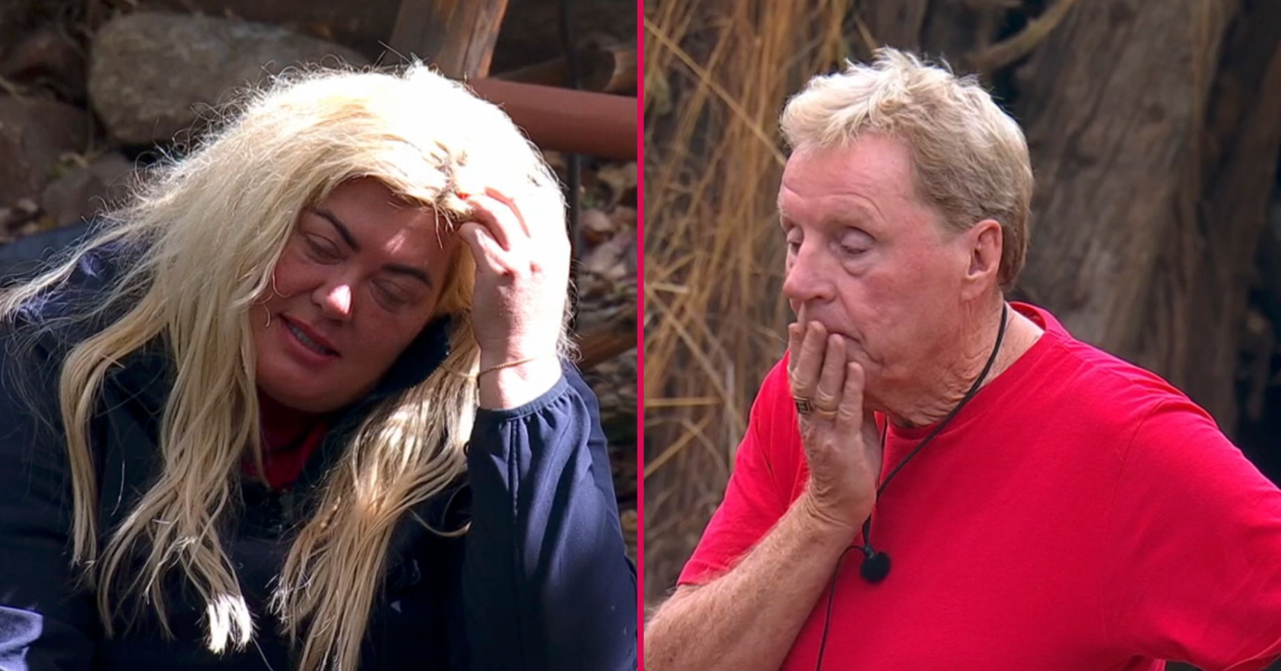 I'm A Celebrity