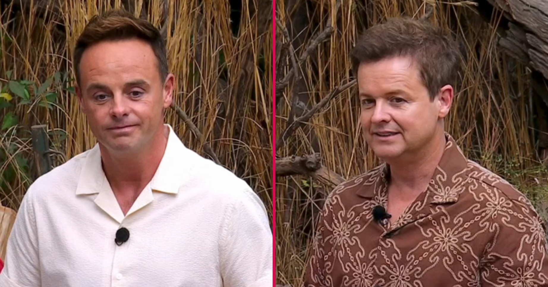Ant and Dec on I'm A Celebrity