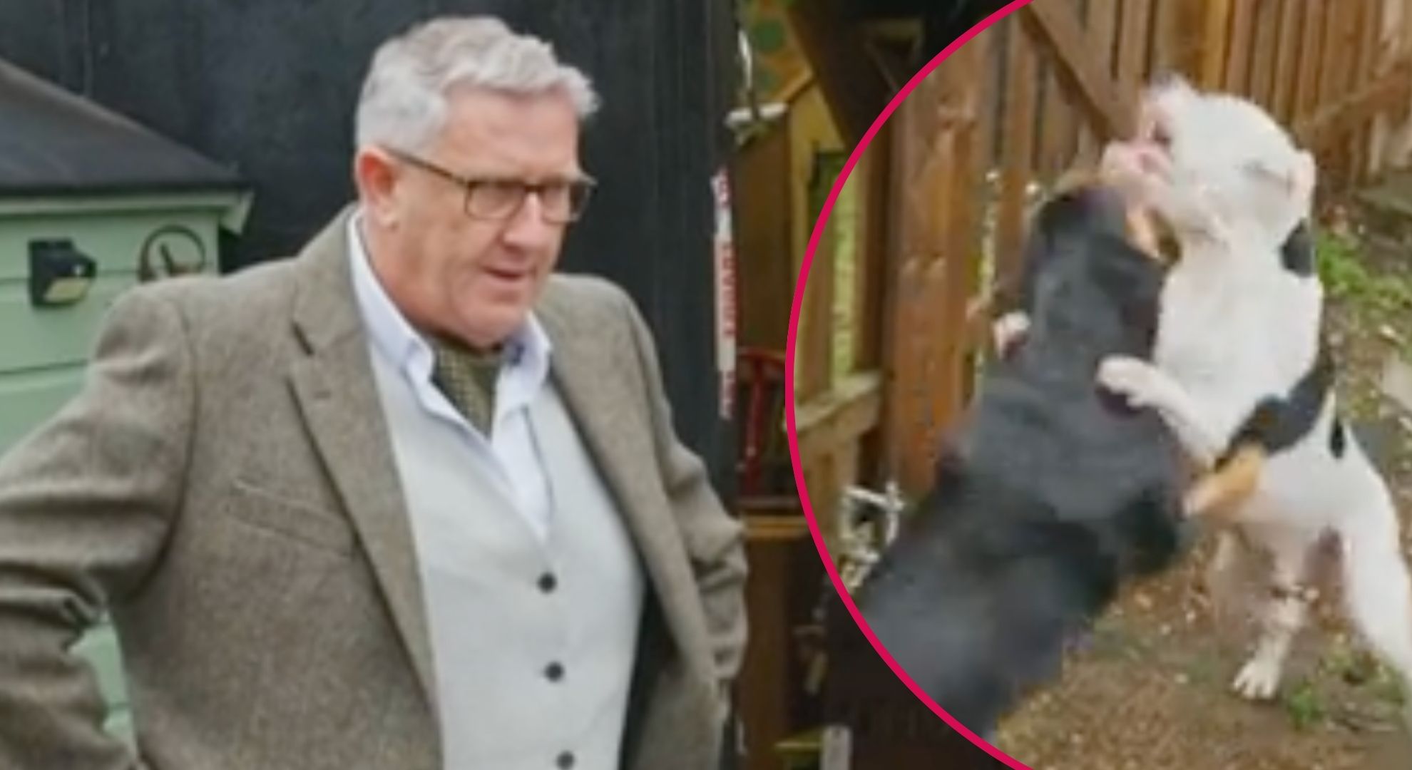 Desperate owners call in Dogs Behaving (Very) Badly’s Graeme Hall as ‘aggressive’ dogs threaten to ruin their family business: ‘They make life so hard’