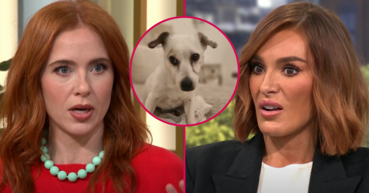 Angela Scanlon looking shocked with a pic of a white dog and a red-headed woman