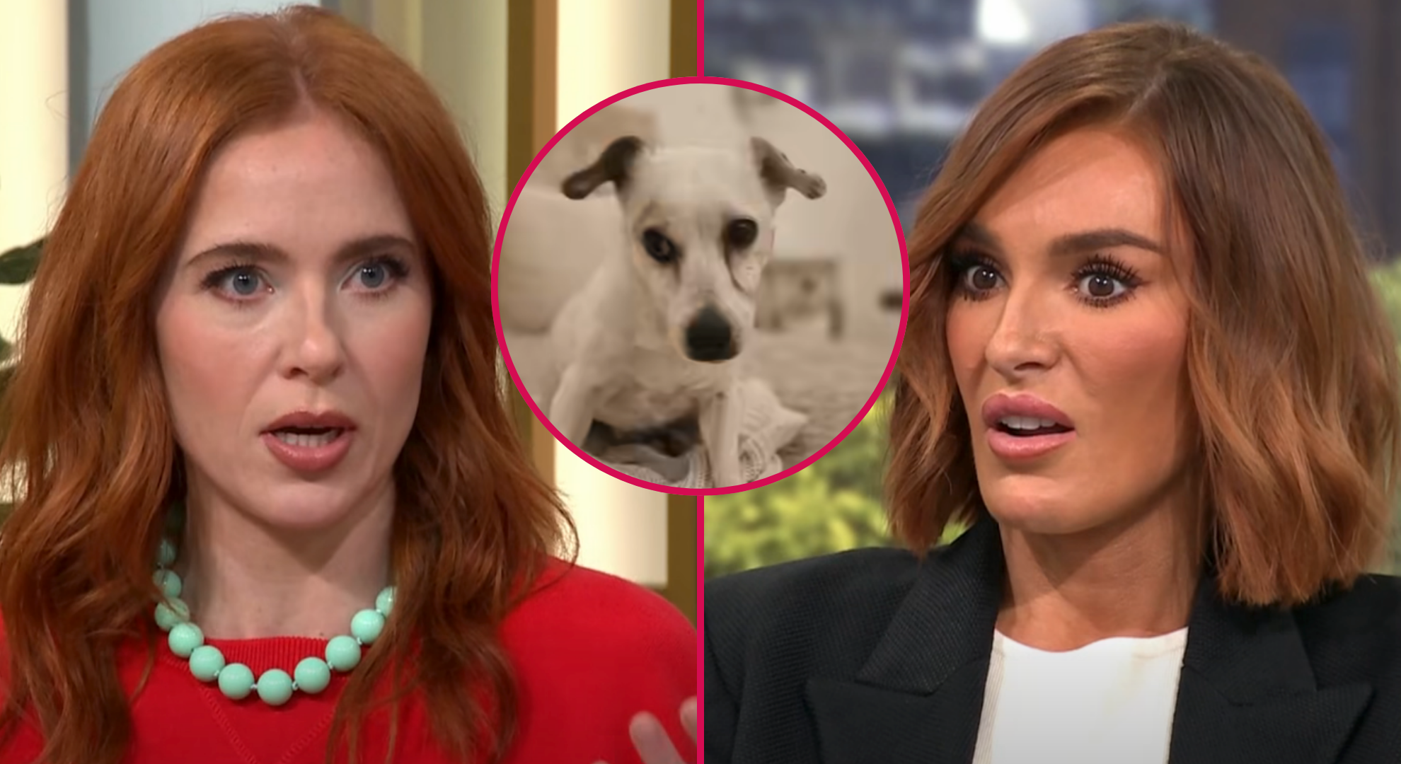 This Morning viewers recoil as guest reveals what’s she’s done with her dog’s ashes