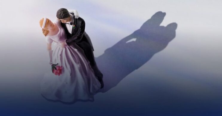 Panorama married at first sight bride and groom