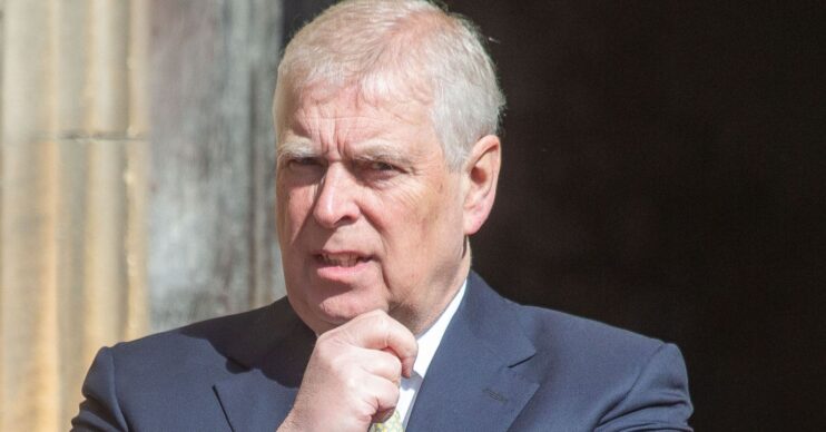 Andrew Mountbatten-Windsor resting his hand on his chin