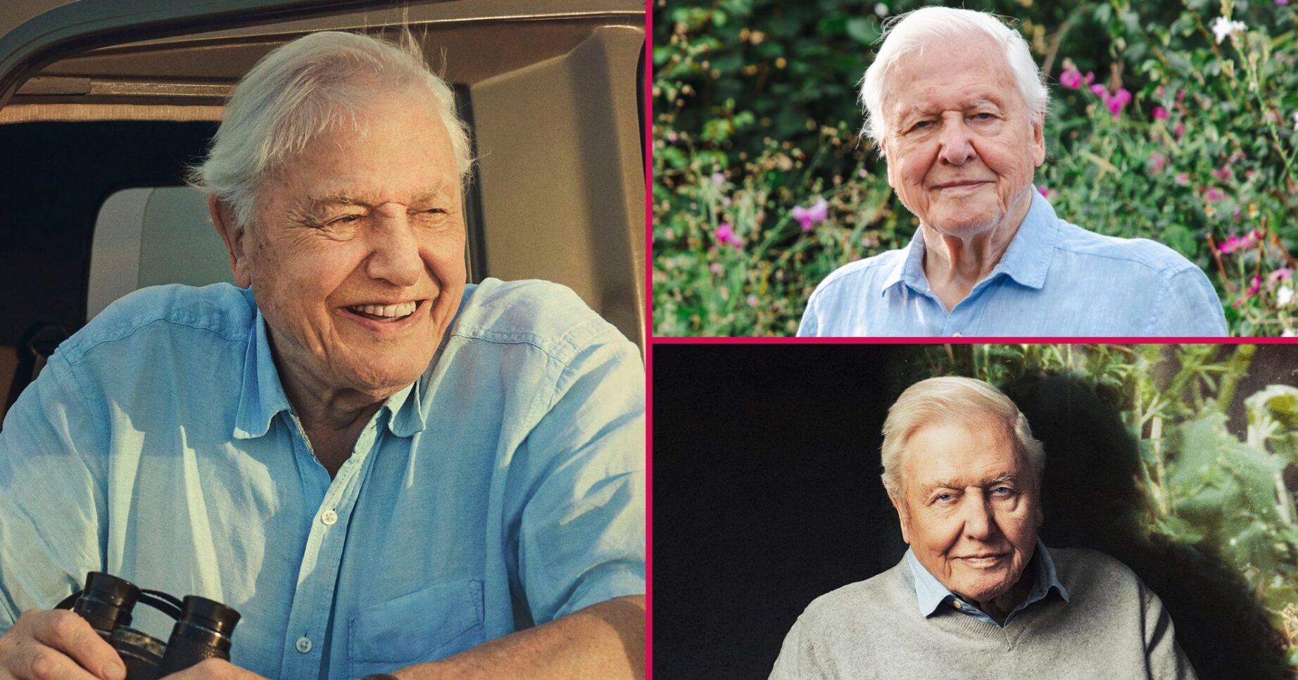 ED split: David Attenborough documentaries