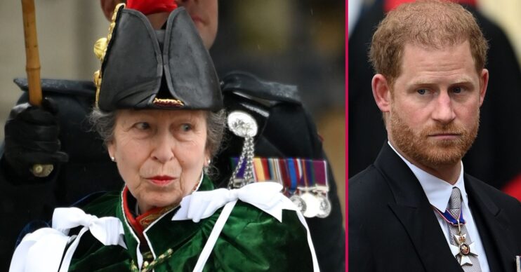 ED composite of Princess Anne and Prince Harry at King Charles' coronation