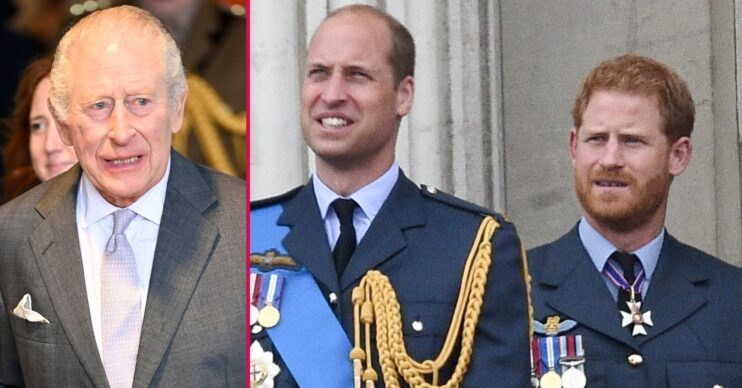 ED composite of King Charles, Prince Harry and William at events