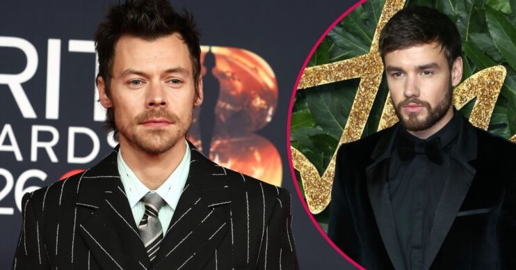 Harry Styles and Liam Payne