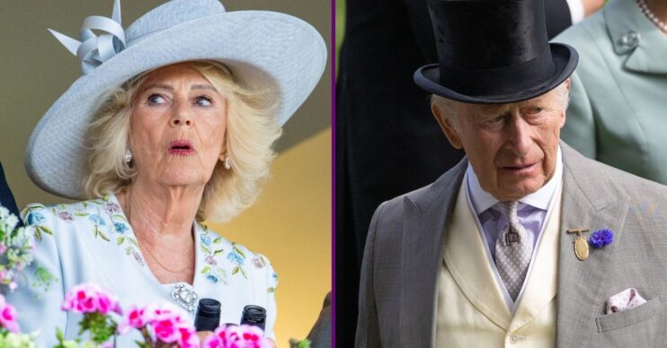 Queen Camilla shocked beside a frowning King Charles
