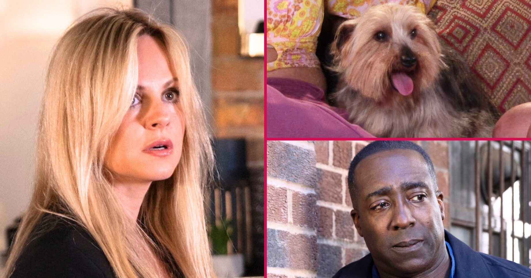 Coronation Street's Sarah, David the dog, Ronnie