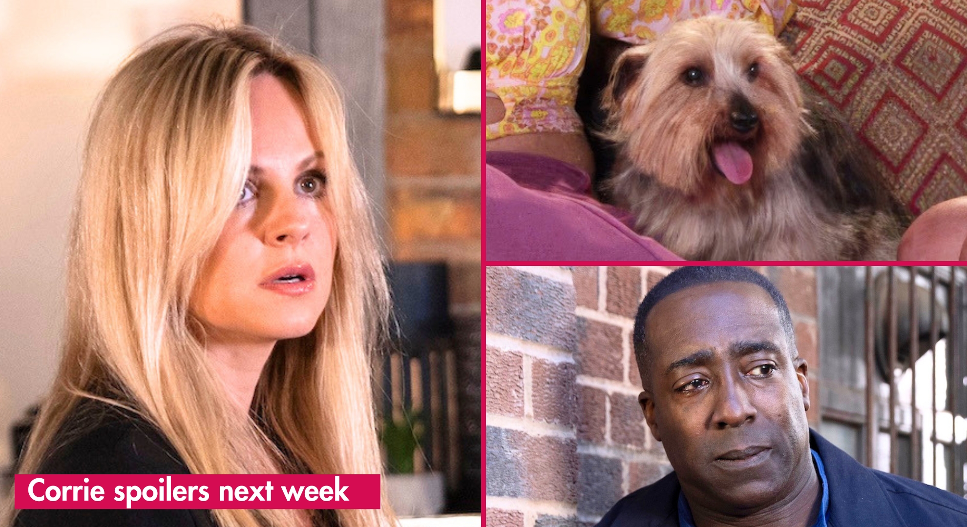 Coronation Street spoilers for next week: First look as Kit and Sarah dinner party flashforward ends in chaos