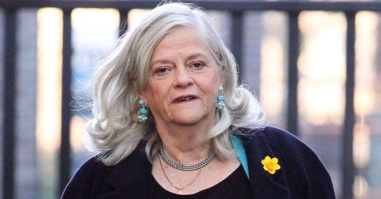 Ann Widdecombe with a serious expression