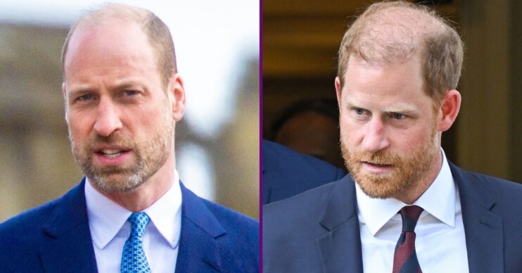 RI composite of Prince William and Harry in suits