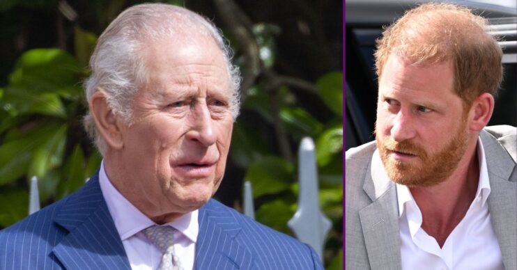RI composite of King Charles and Prince Harry at different outings