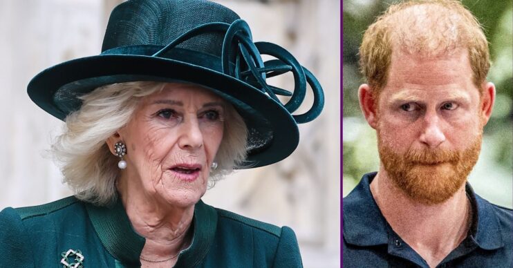 RI composite of Queen Camilla and Prince Harry looking serious