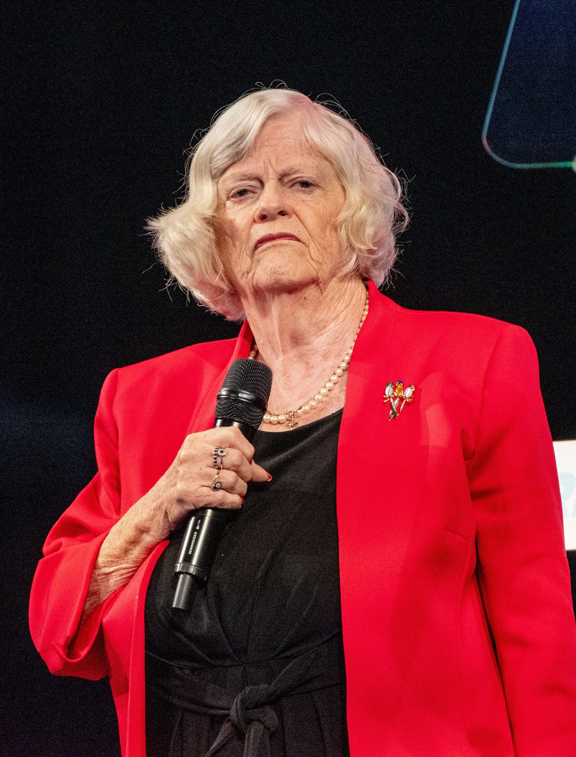 Ann Widdecombe at Reform UK 2024 National Conference