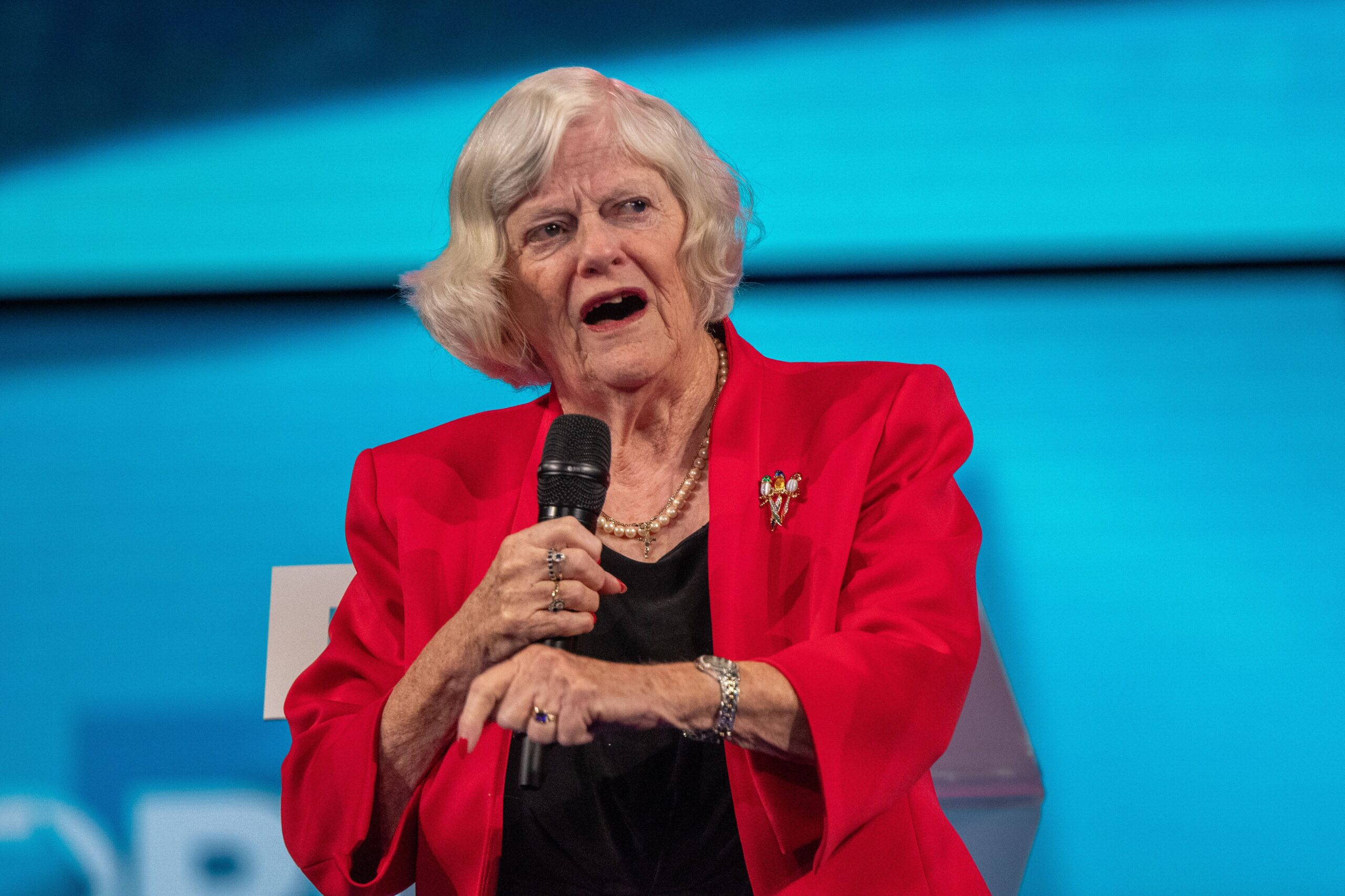 Ann Widdecombe at Reform UK 2024 National Conference