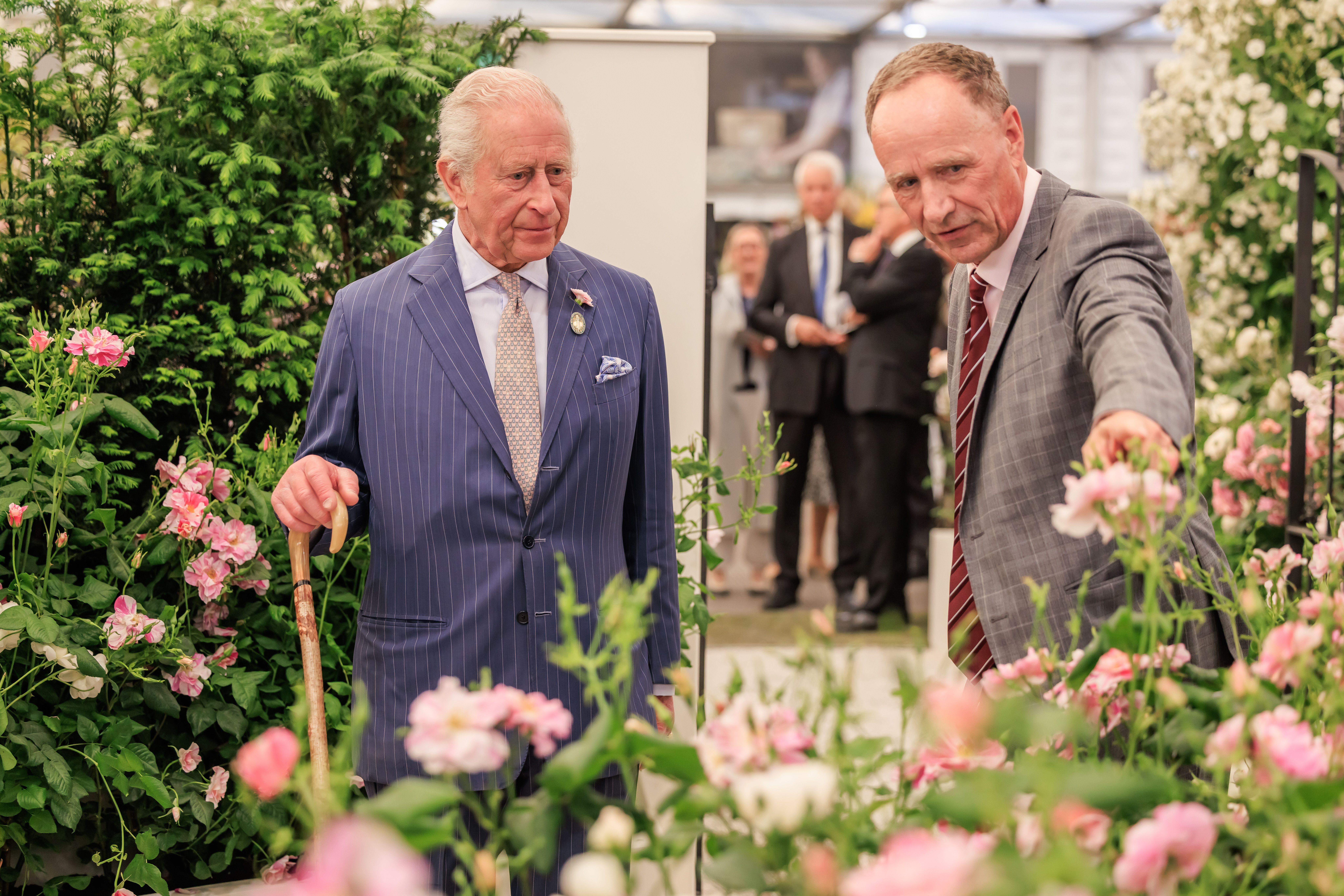 King Charles and David Austin Jr.