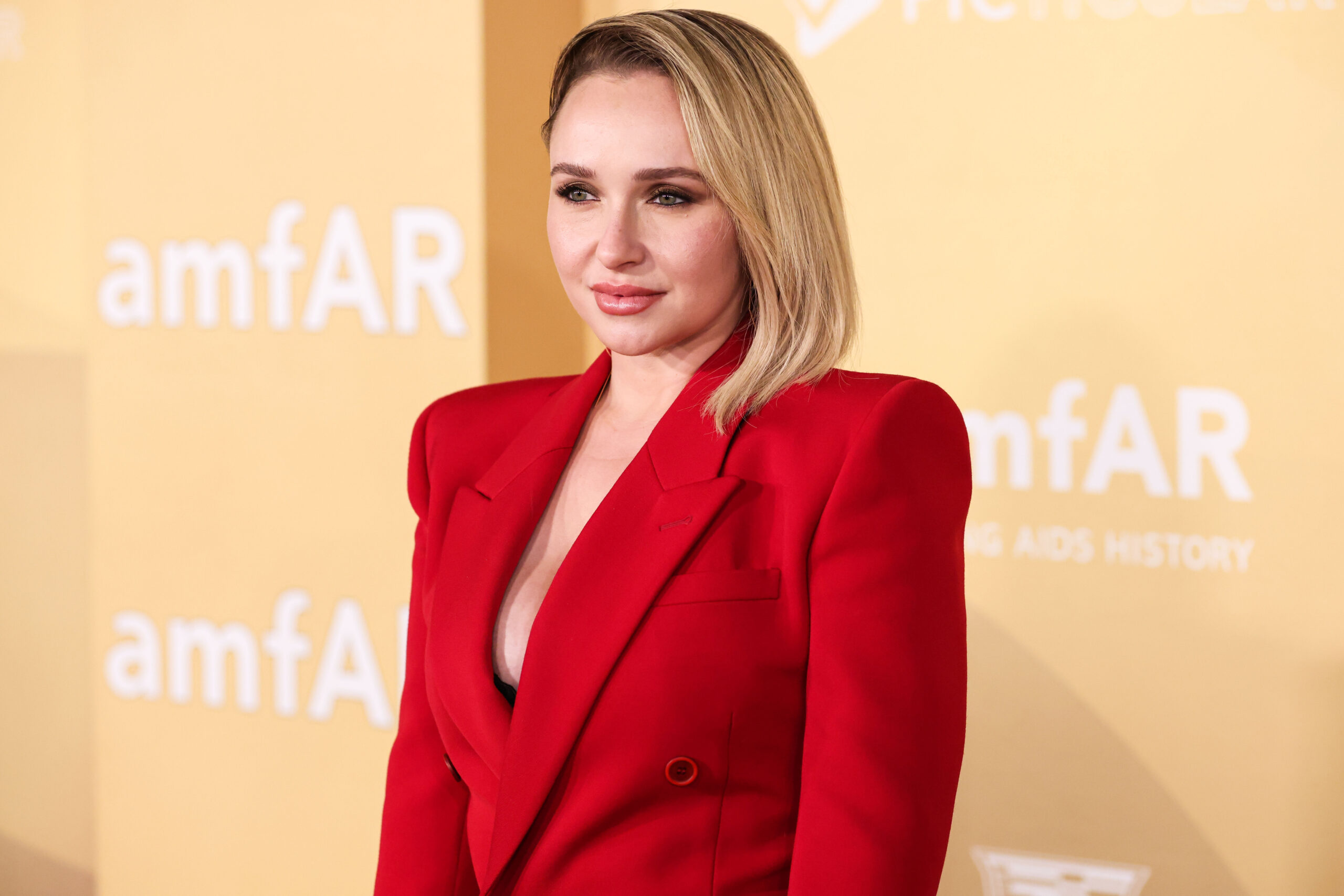 Hayden Panettiere on the red carpet